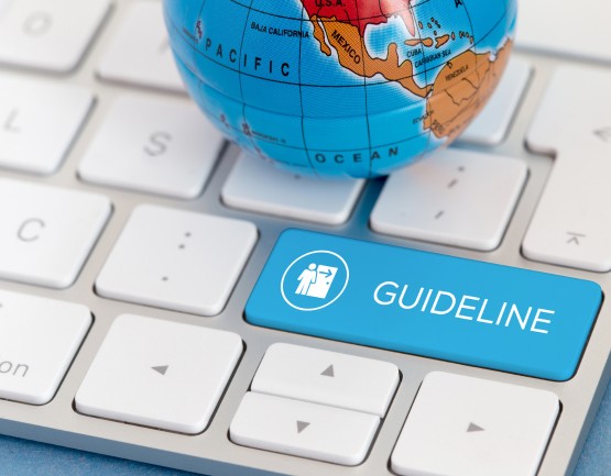 Brand Guidelines and Usage